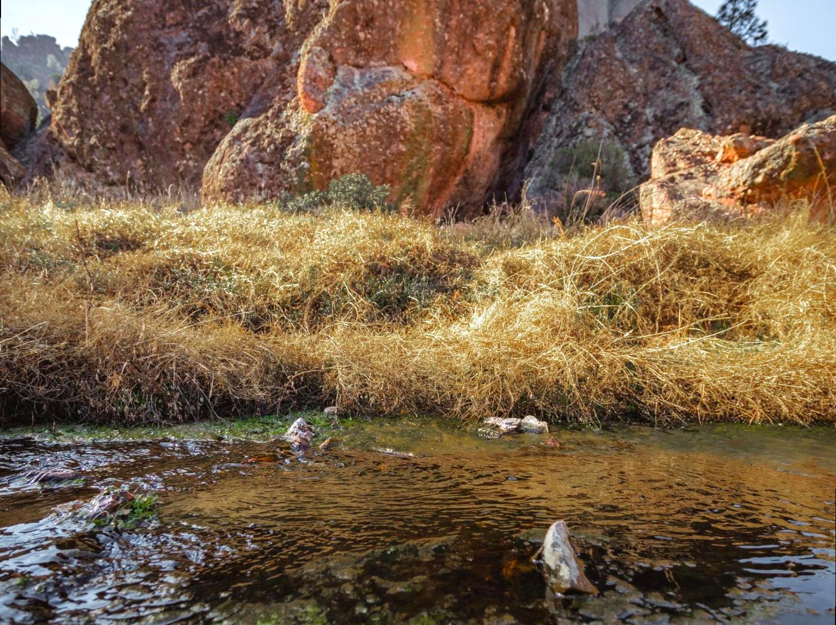 westinemenus | Attending a Talk or Seminar About the Geological Formation of the Pinnacles