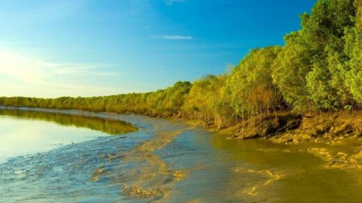 westinemenus | Canoe in the Alligator Rivers: Paddling Through Kakadu