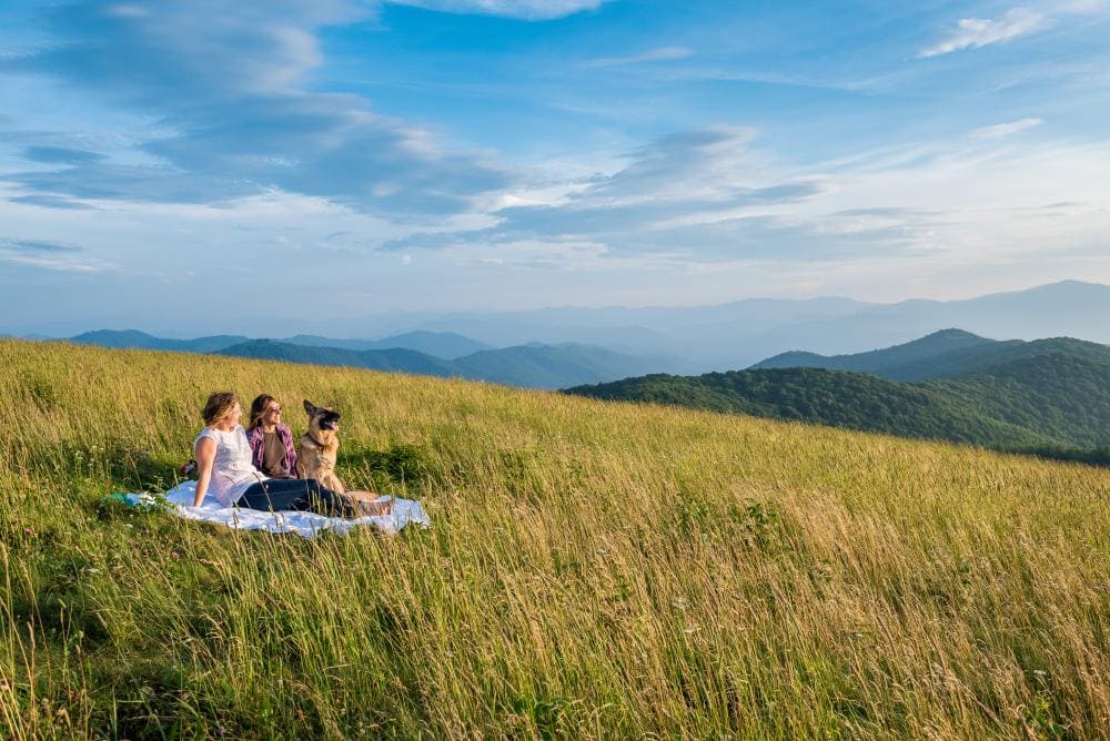 westinemenus | Enjoying a Scenic Picnic Set Against the Surreal Formations