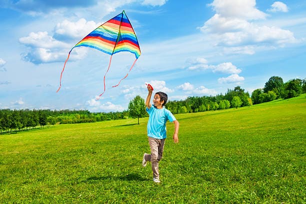 westinemenus | Kite Flying: Enjoy the best locations and tips for kite flying enthusiasts