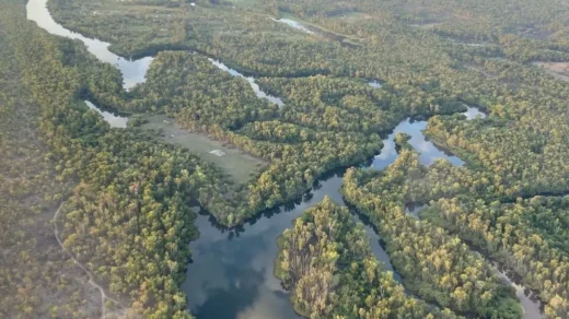 How Many Crocodile Attacks Have Occurred in Kakadu