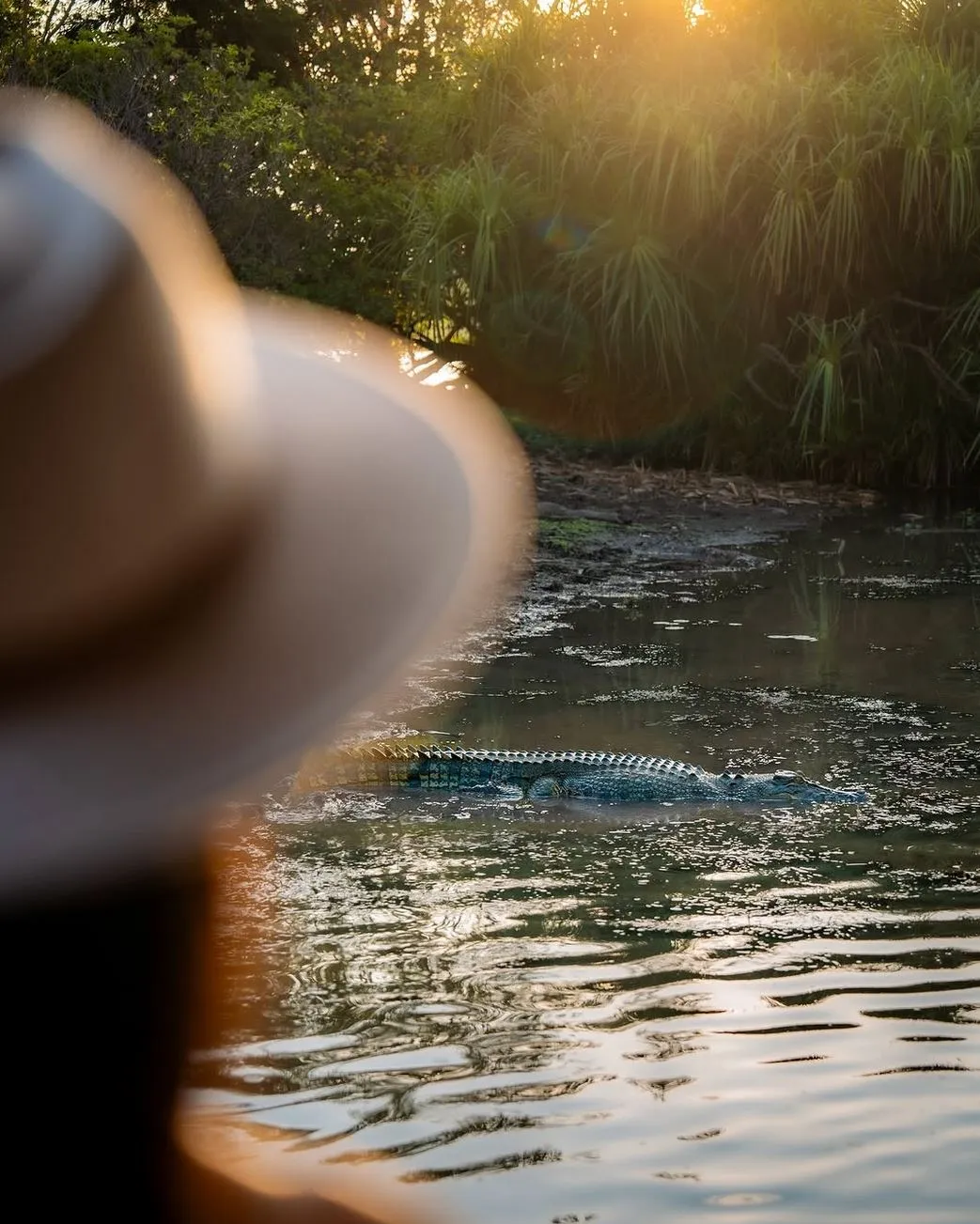 westinemenus | How Many Crocodile Attacks Have Occurred in Kakadu? westinemenus | How Many Crocodile Attacks Have Occurred in Kakadu?