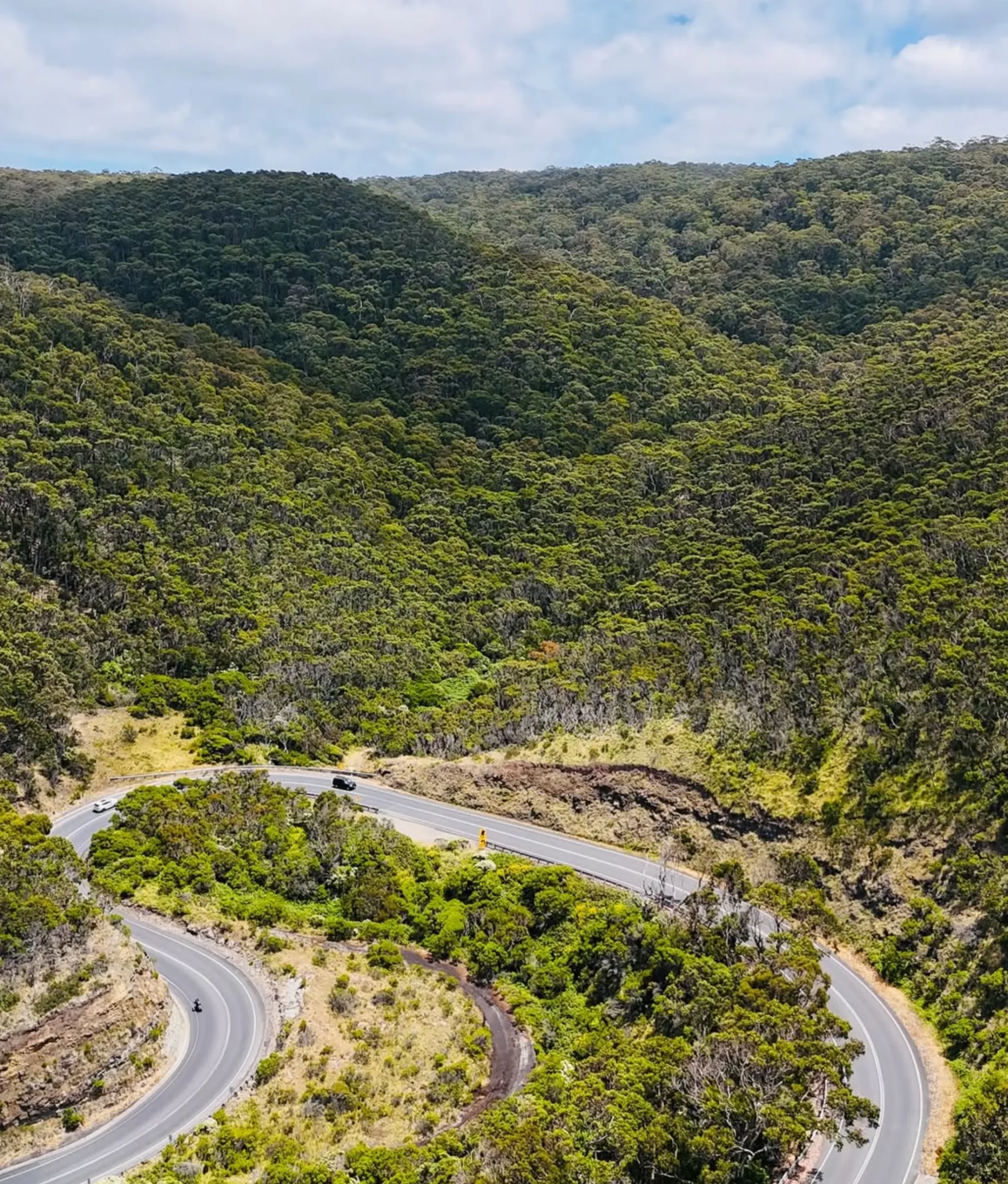 westinemenus | Can You Stop Wherever You Want on a Great Ocean Road Tour? westinemenus | Can You Stop Wherever You Want on a Great Ocean Road Tour?