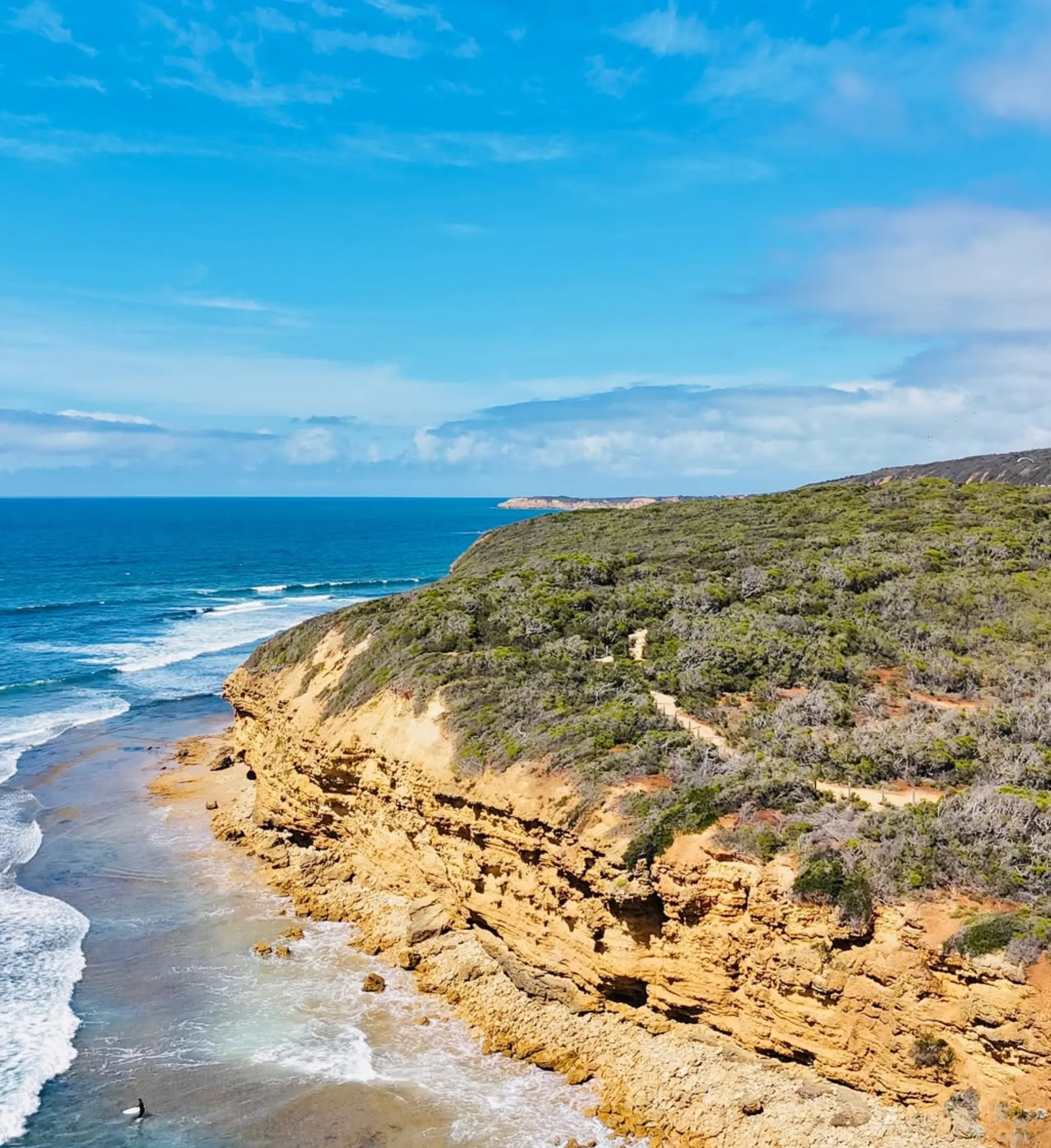 westinemenus | Can You Stop Wherever You Want on a Great Ocean Road Tour? westinemenus | Can You Stop Wherever You Want on a Great Ocean Road Tour?