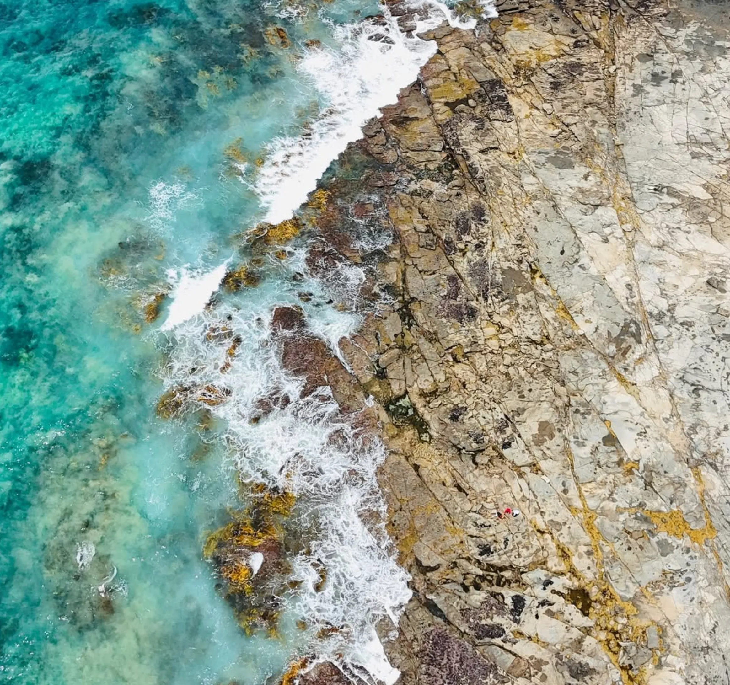 westinemenus | Can You Stop Wherever You Want on a Great Ocean Road Tour? westinemenus | Can You Stop Wherever You Want on a Great Ocean Road Tour?