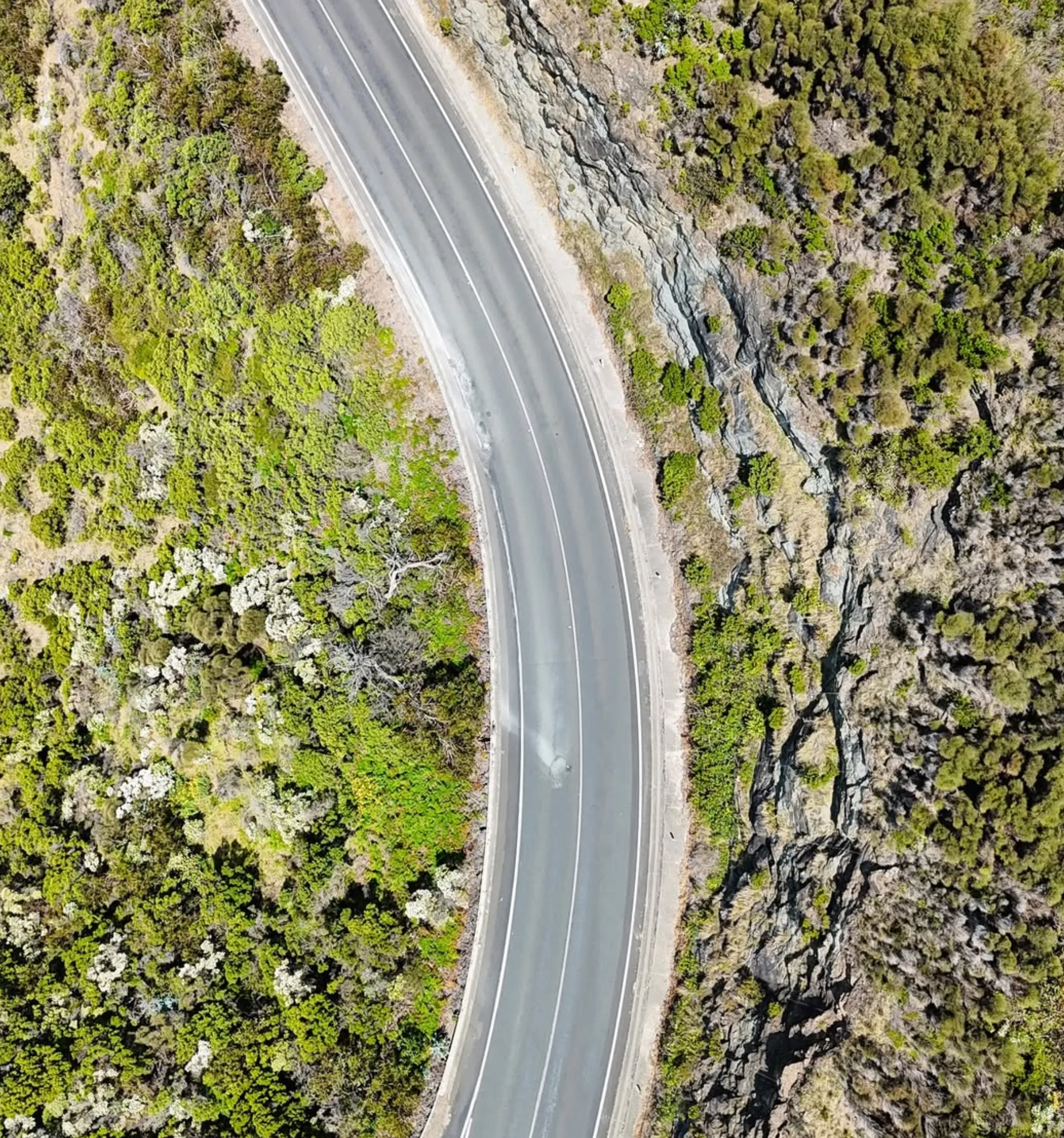 westinemenus | Can You Stop Wherever You Want on a Great Ocean Road Tour? westinemenus | Can You Stop Wherever You Want on a Great Ocean Road Tour?
